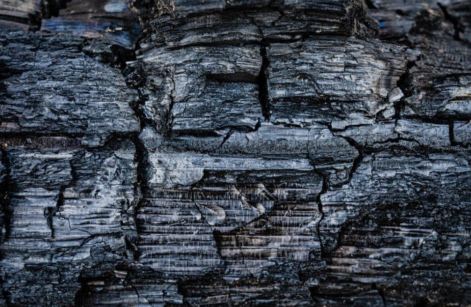 Dettaglio della superficie di un pezzo di legno carbonizzato